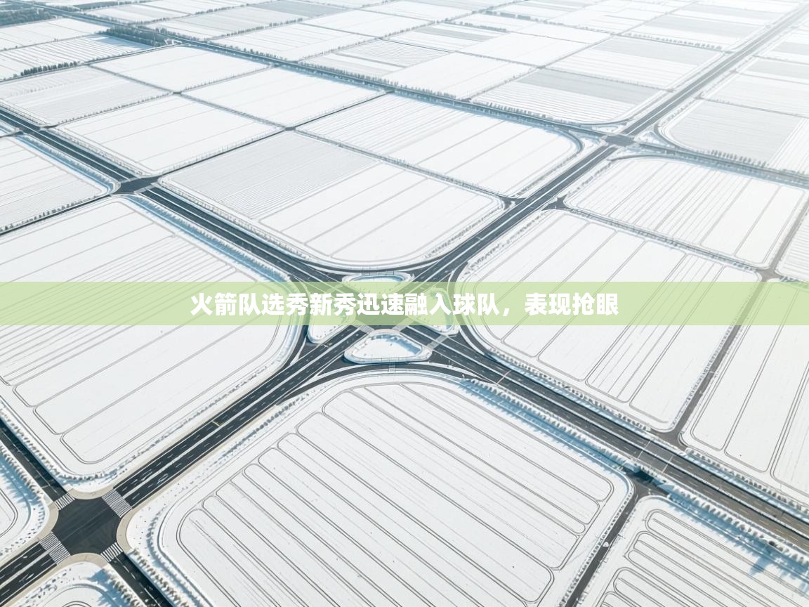 火箭队选秀新秀迅速融入球队，表现抢眼