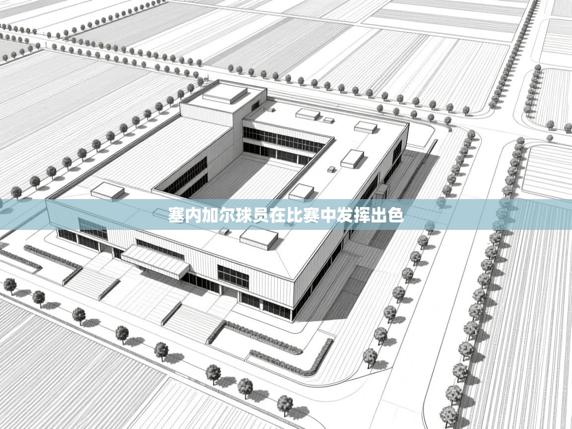 塞内加尔球员在比赛中发挥出色  第1张