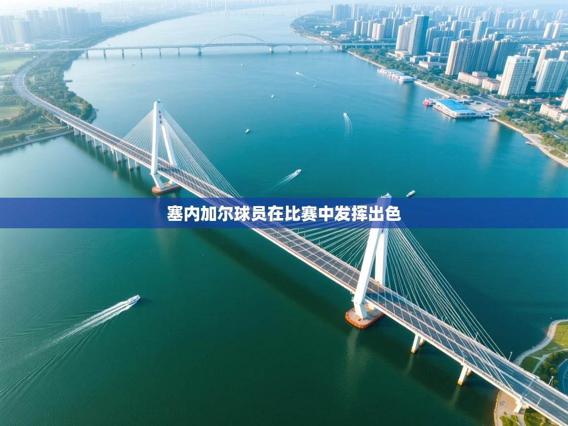 塞内加尔球员在比赛中发挥出色  第2张