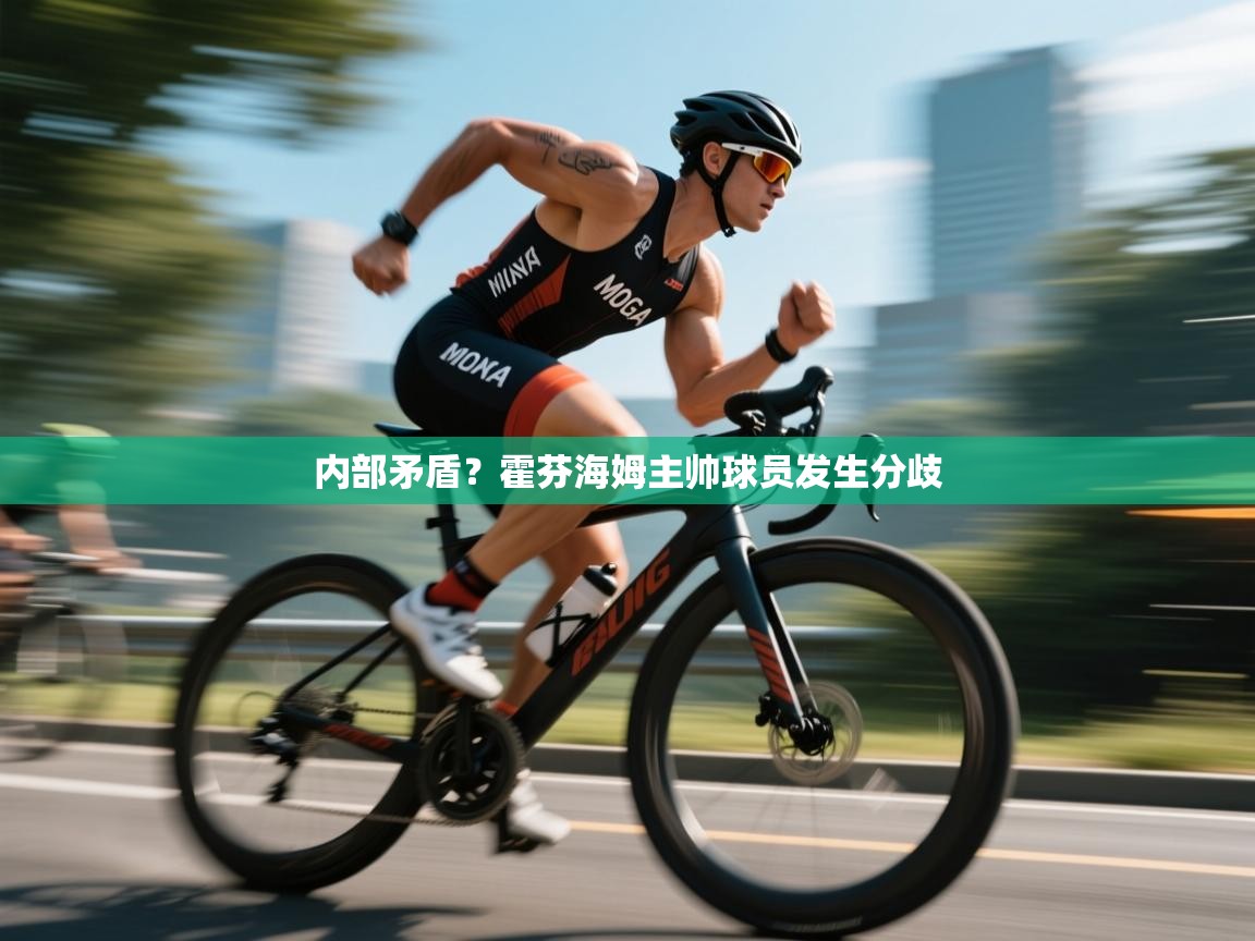 内部矛盾？霍芬海姆主帅球员发生分歧